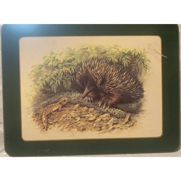 Ashdene of Australia 6 Australian Wildlife Place Mats Cork Back Kids Daycare Fun - Picture 3 of 7